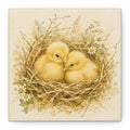 Chick Nest Canvas — Vintage Baby Chicks Wall Art